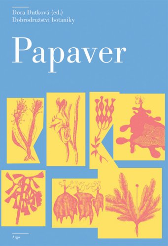 PAPAVER PAPAVER