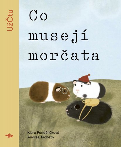 Co musejí morčata Co musejí morčata