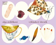 Olga Stehlíková / Výkladový slovník